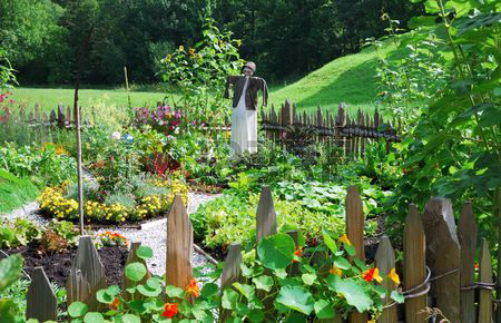 conseils jardin et potager