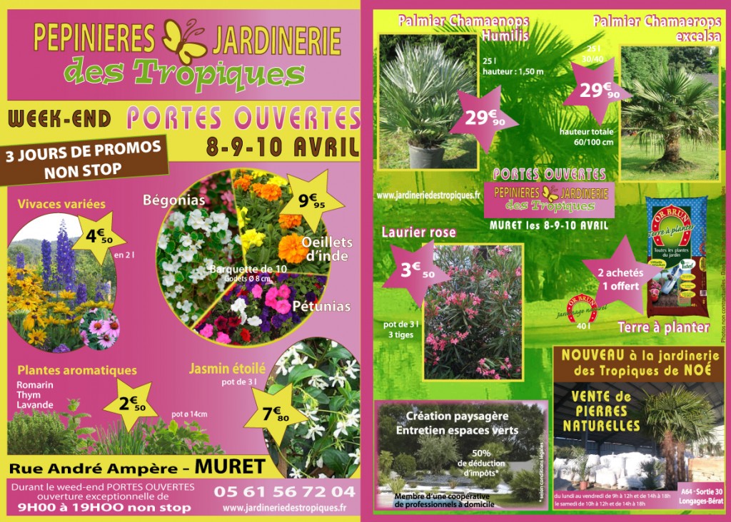 plantes vivaces begonias palmiers lauriers portes ouvertes promos plantes jardinerie des tropiques muret et noé