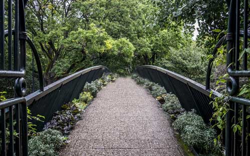 jardineriedestropiques-planter-des-arbres-toulouse